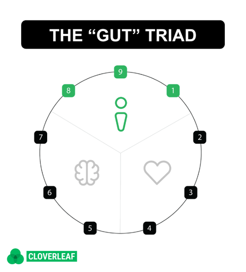 gut triad