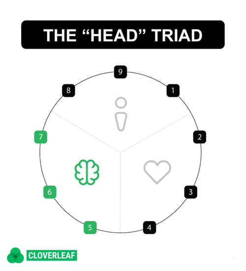 the head triad