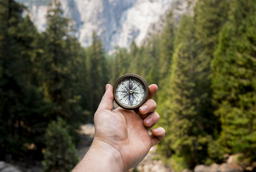 image of a hand holding a compass with lots of trees in the background
