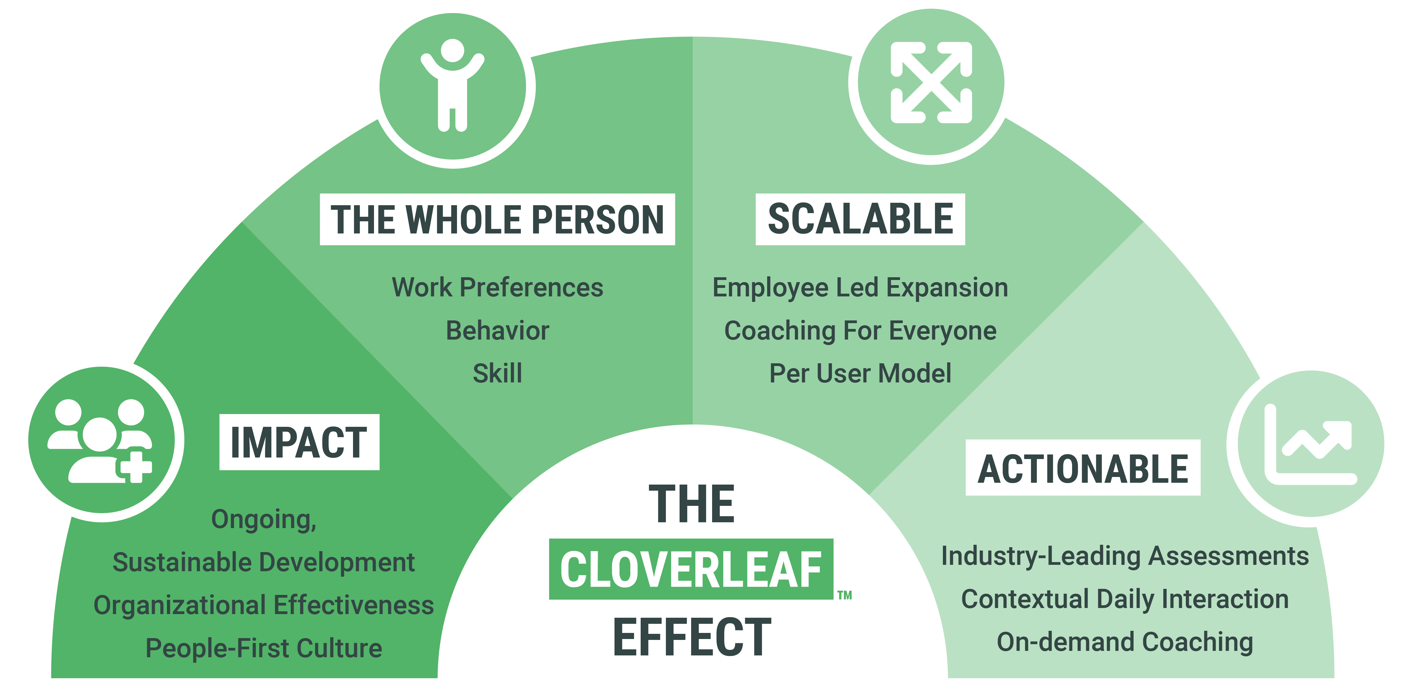 The Cloverleaf Effect