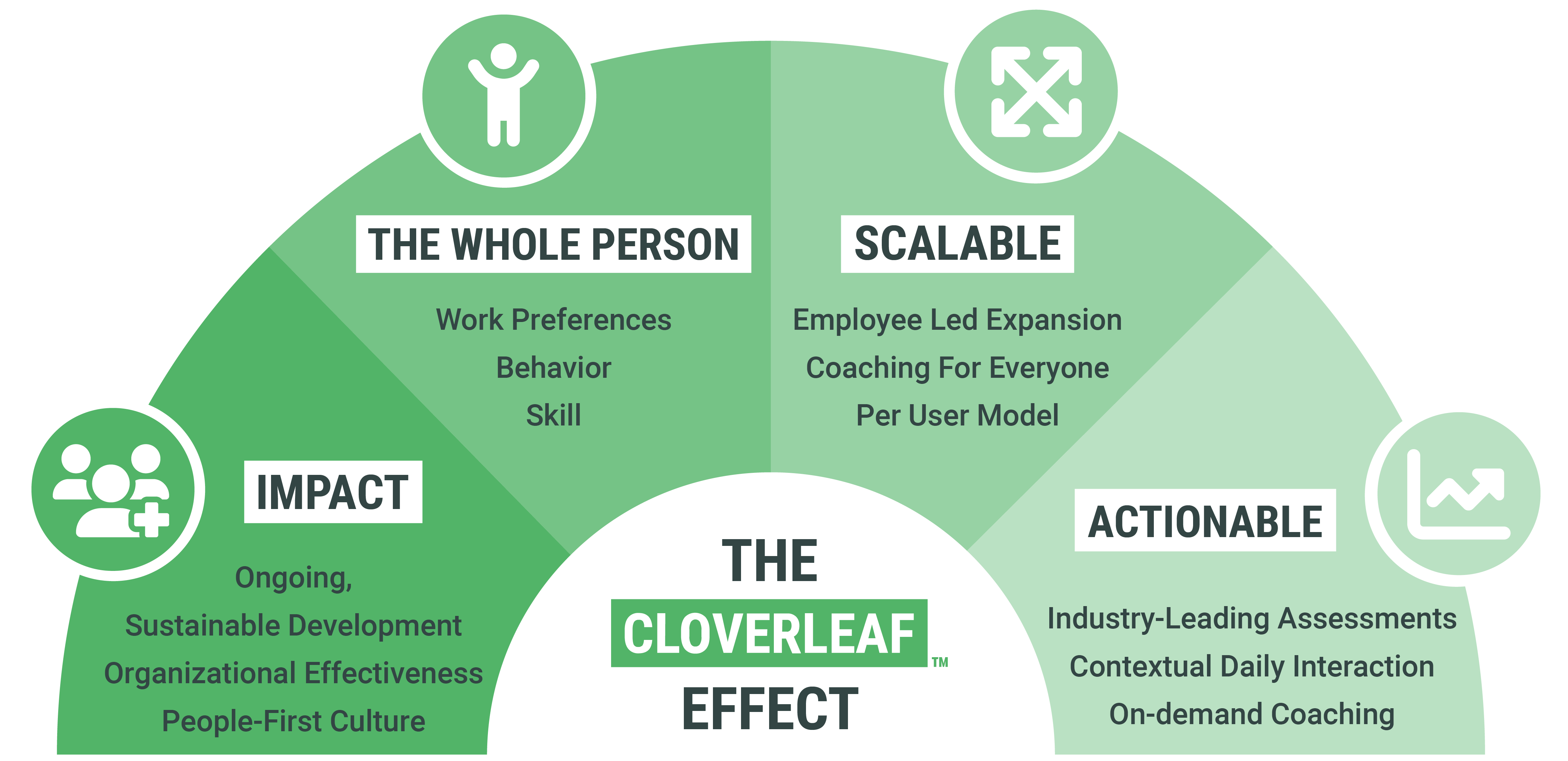 The Cloverleaf Effect