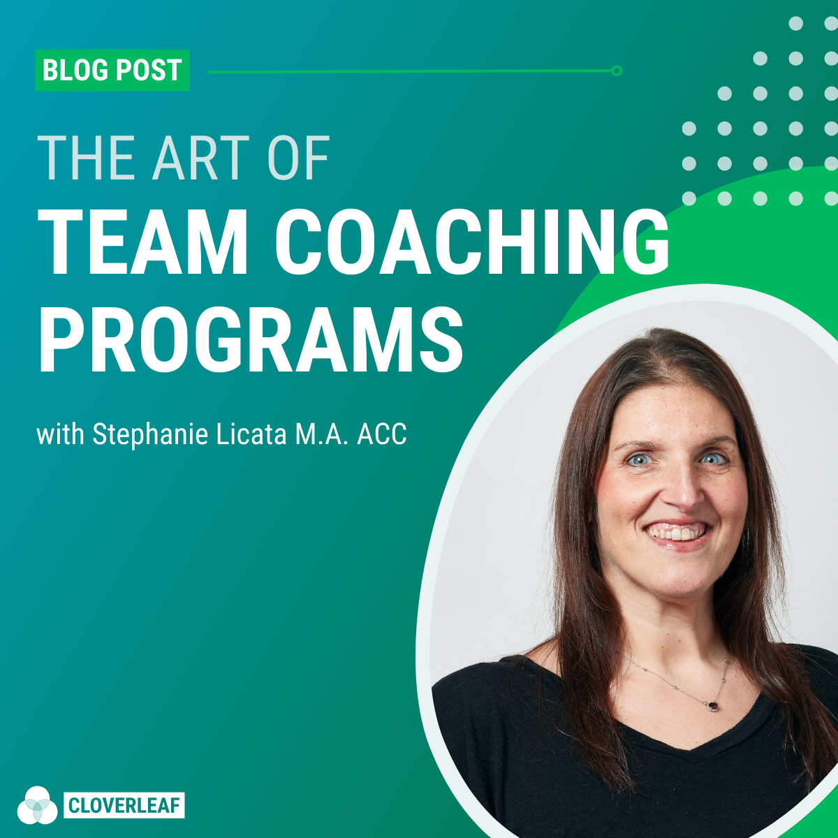 The art of team coaching programs