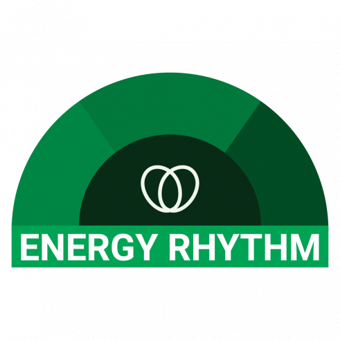Assessment Logos_Energy-Rhythm