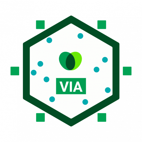 VIA Character Strengths - Strength-Based Assessment